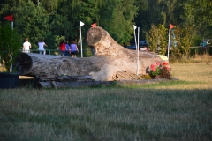 DSC_0522
