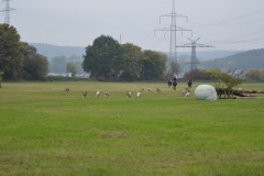k-DSC_0253(1)