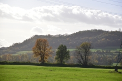 DSC_0137