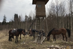 20180330_120427866_iOS