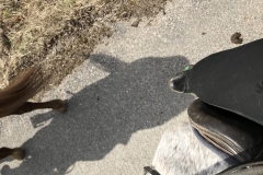 20180330_130710362_iOS