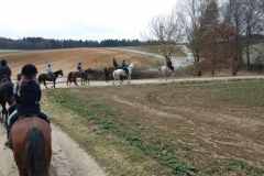 20180330_162438190_iOS