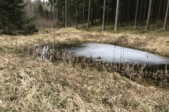 20180331_094518713_iOS