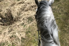 20180331_094616151_iOS