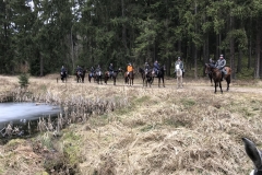 20180331_094618019_iOS