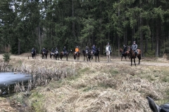 20180331_094619087_iOS