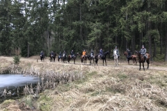 20180331_094620021_iOS