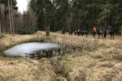 20180331_094621723_iOS