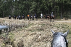 20180331_094624292_iOS