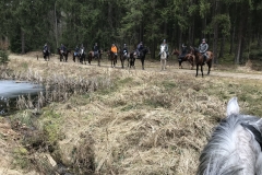 20180331_094625526_iOS