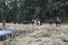 20180331_094637797_iOS