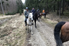 20180331_094700796_iOS