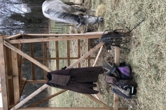 20180331_102146686_iOS