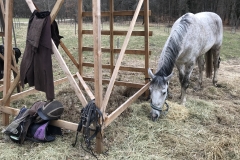 20180331_102211727_iOS