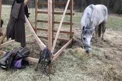 20180331_102215063_iOS