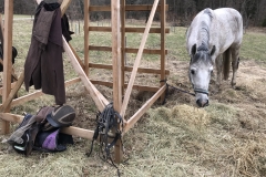 20180331_102216531_iOS