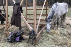 20180331_102223671_iOS