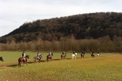 20180401_091022650_iOS