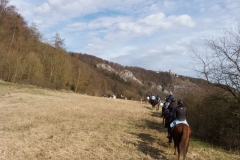 20180401_091055393_iOS